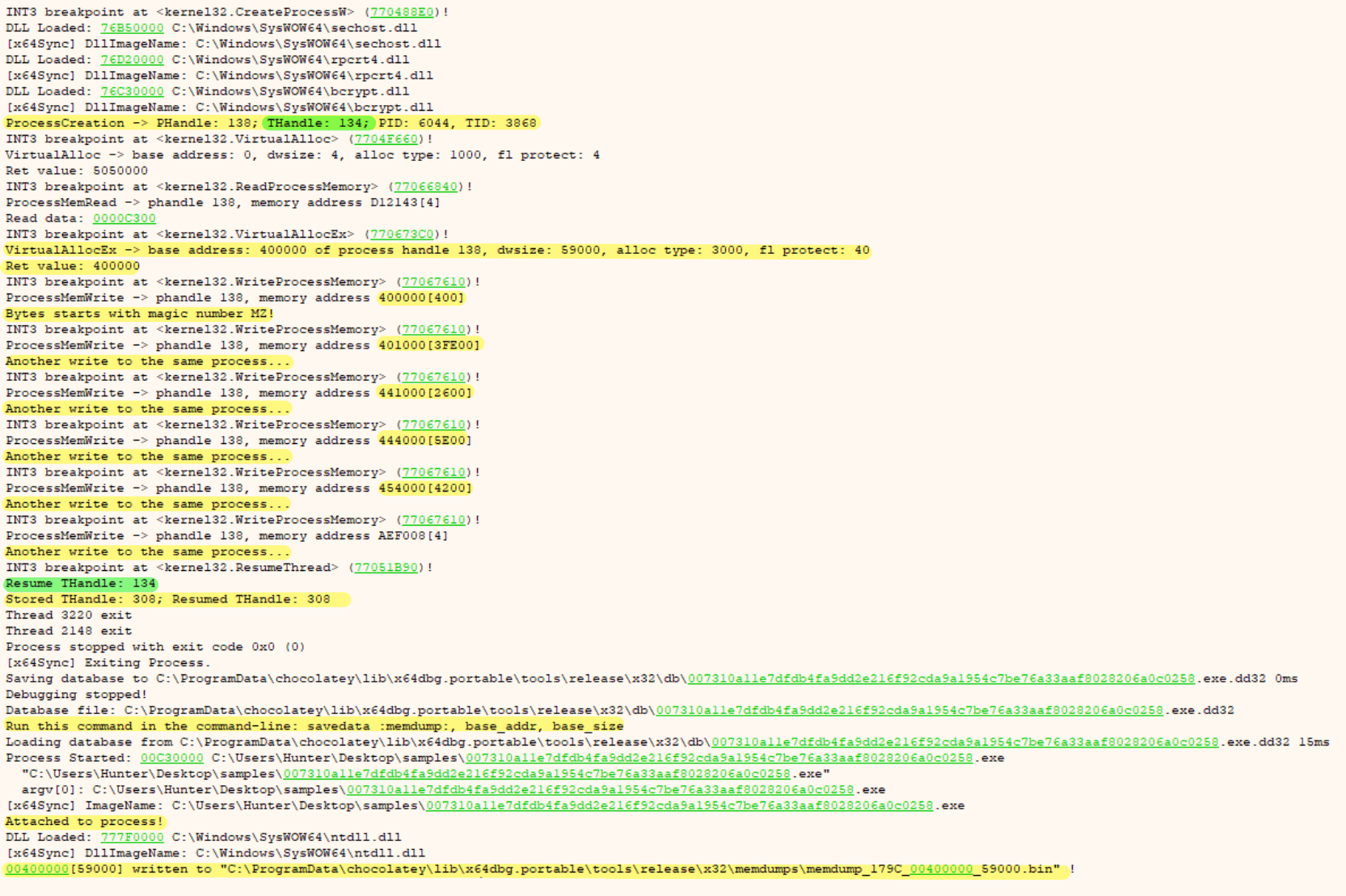 lummastealer process unhollowing output
